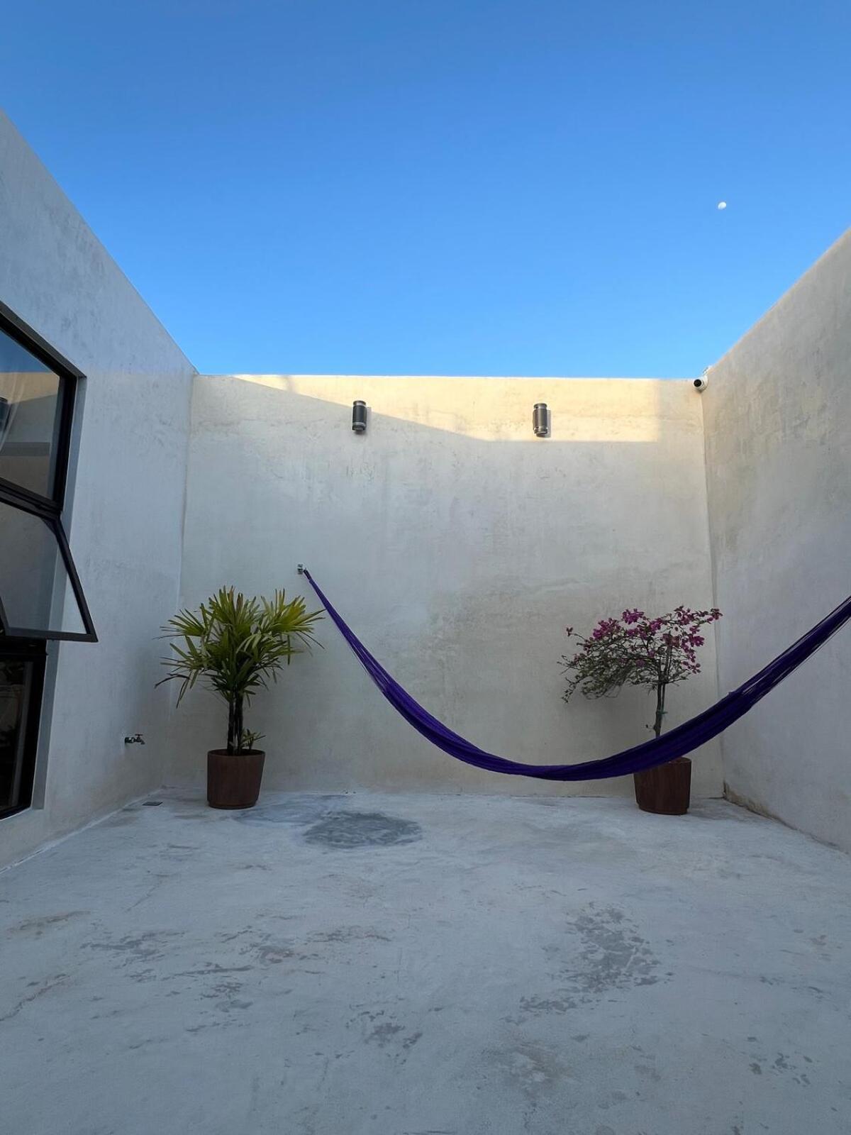 La Casa De La Celosia *
